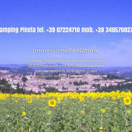 فندق أوربينوفي  Camping Pineta المظهر الخارجي الصورة